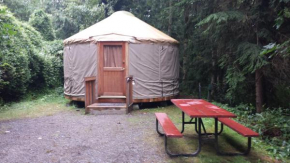 Отель Snowflower Camping Resort 16 ft. Yurt 10  Emigrant Gap